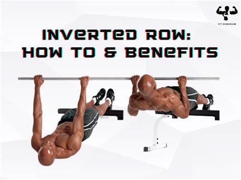 inverted row   benefits fitdominium