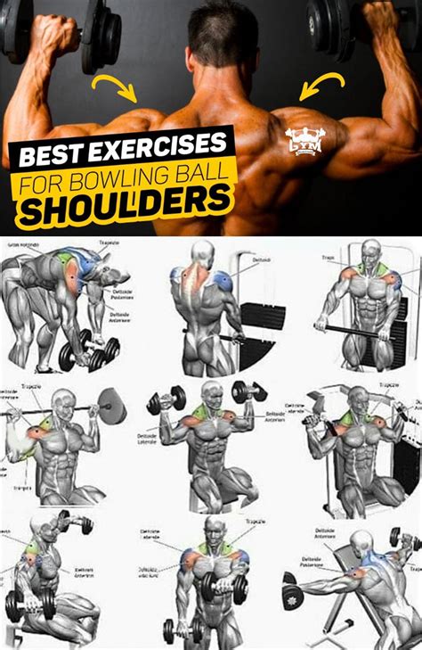 How To Exercises On The Shoulders Exercise Videos Guides