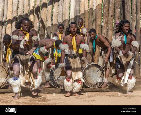 Men in traditional clothing during dance performance, Swazi cultural ...