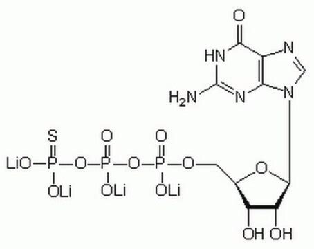 Guanosine 5 -O-(3-Thiotriphosphate), Tetralithium Salt - CAS 94825-44-2 ...