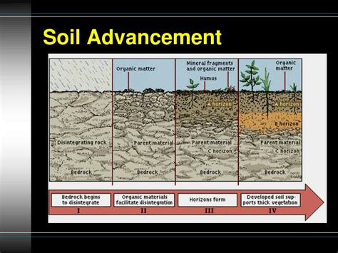 Ppt Soils Powerpoint Presentation Free Download Id3128581