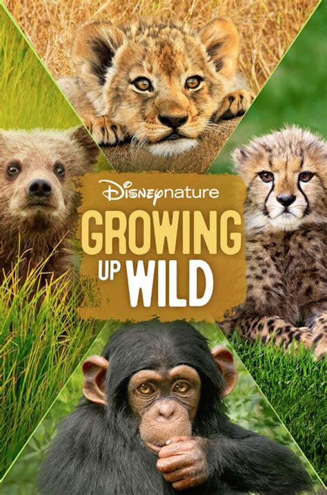 Movie Review: Disneynature's "Growing Up Wild" - LaughingPlace.com