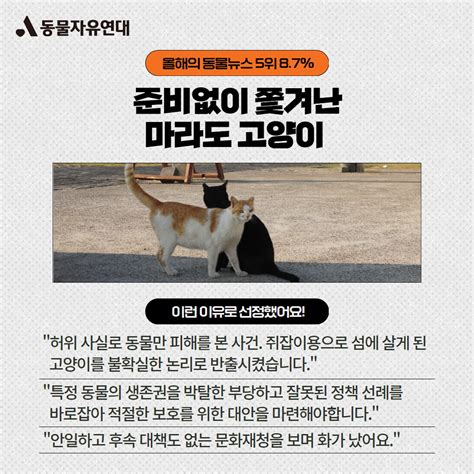 동물자유연대 동물자유연대x한국일보 2023년 올해의 동물뉴스 결과를 발표합니다