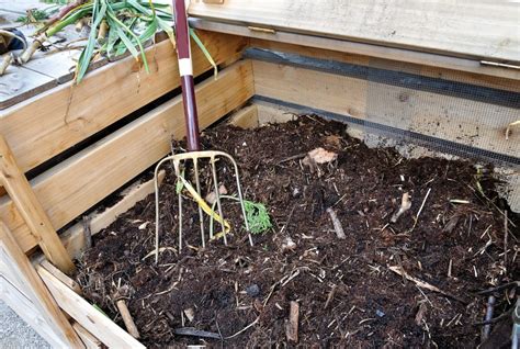 How To Start A Compost Bin At Home Bioweed