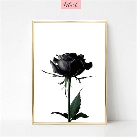 10 Finest White Roses Wall Art Images Info