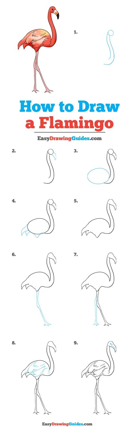 How To Draw A Flamingo Really Easy Drawing Tutorial