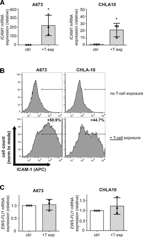 T Cell Exposure Leads To Increased Ewing Tumor Cell Icam 1 Expression