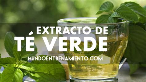 Extracto de Té Verde YouTube