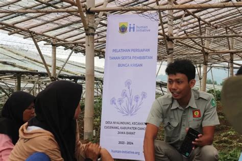 Cerita Petani Bunga Krisan Cianjur Yang Bangkit Dari Gempa Berkat