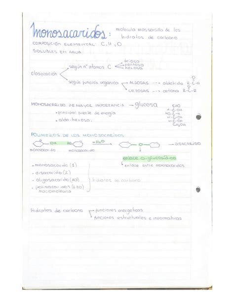 Solution Composicion Quimica De Los Seres Vivos Studypool