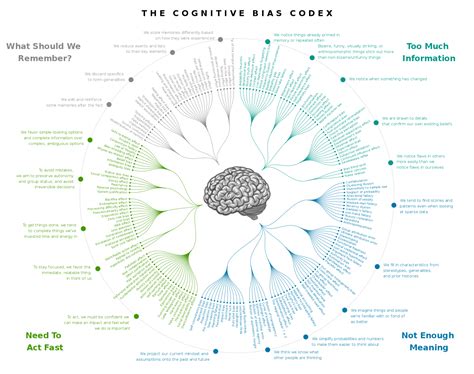 cognitive biases sensemaking resources education  community