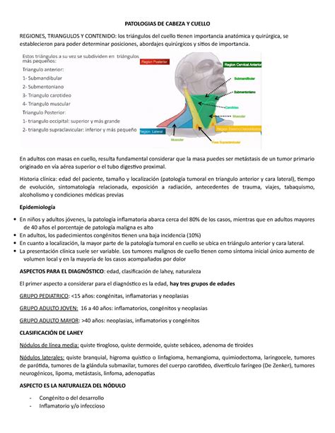 Patologias De Cabeza Y Cuello Patologias De Cabeza Y Cuello Regiones