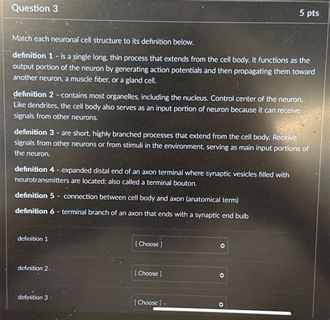 Solved Question Ptsmatch Each Neuronal Cell Structure To Chegg