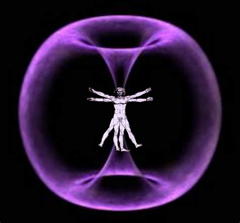 The Feed Within the Torus | Feeders