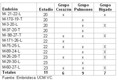 Estudio morfométrico correlacional en embriones humanos Embrioteca de