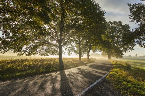 Country Road At Sunset wallpaper - Happywall