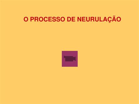 Ppt EmbriogÊnese E OrganizaÇÃo Geral Do Snc Powerpoint Presentation