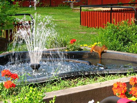 11 Best Solar Powered Fountain Pumps - Garden Lovers Club