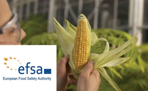 AgroAvances La EFSA publica dictamen científico favorable para la