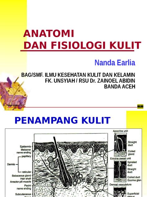 PDF Pemeriksaan Fisik Kulit DOKUMEN TIPS