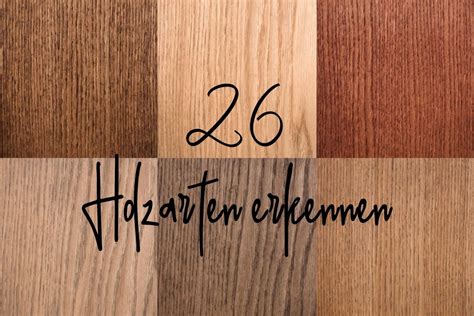 26 Holzarten Übersicht Holzarten erkennen