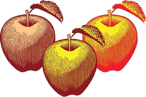 An Image Of Three Apples With Leaves On The Top One Is Red Yellow And Orange