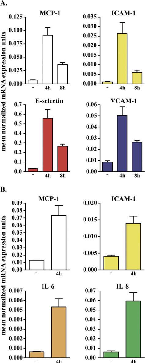 Validation Of Gene Array Results By Q PCR Genes Selected For Validation