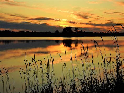 Share the Experience | Seney National Wildlife Refuge