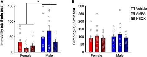 Frontiers Sex And Age Dependent Effects Of Chronic Corticosterone