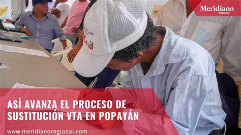 Así avanza el proceso de sustitución VTA en Popayán Meridiano Regional