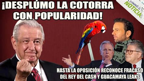 Amlo Despluma A La Cotorra Con Guacamaya Leaks Y El Rey Del Cash