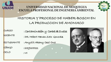 Ppt Historia Y Proceso De Haber Bosch Cossi Cruz Anyelit Powerpoint