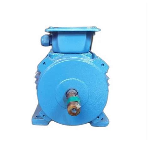 037 Kw 05hp Blue Three Phase Electric Motor 1440 Rpm At ₹ 3100 In