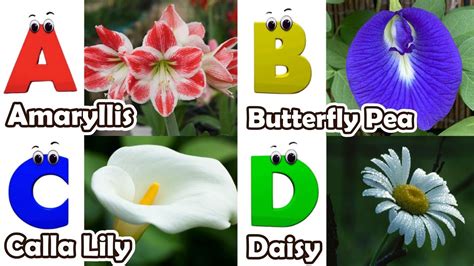 Flowers Alphabet Song Flowers Abc Song A To Z Flowers Names