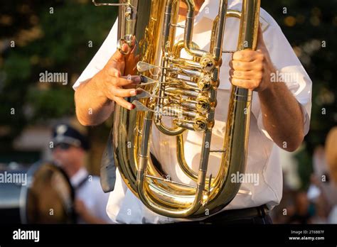 military musicians  baritone horn  hand stock photo alamy