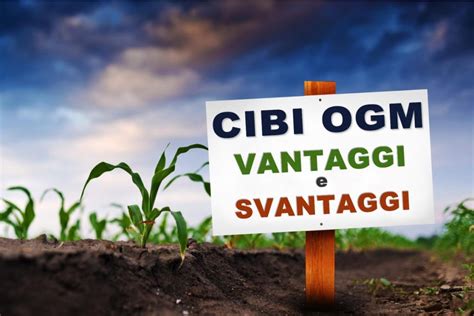 Ogm Vantaggi E Svantaggi Cerchiamo Di Fare Chiarezza