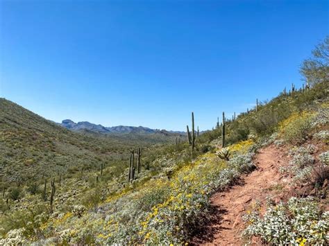 Best Hikes Near Phoenix Arizona Getaway Compass