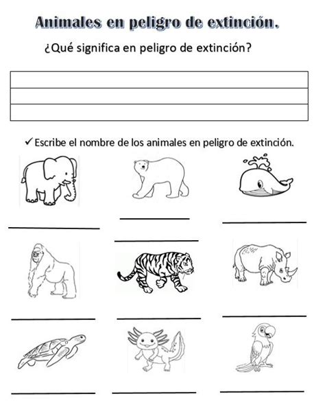 animales en peligro de extinción actividad Animales en peligro de