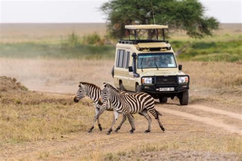 Tansania Safari Tipps Reiseblog und Fotografieblog aus Österreich