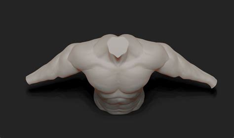 D Upper Body Man Model Turbosquid