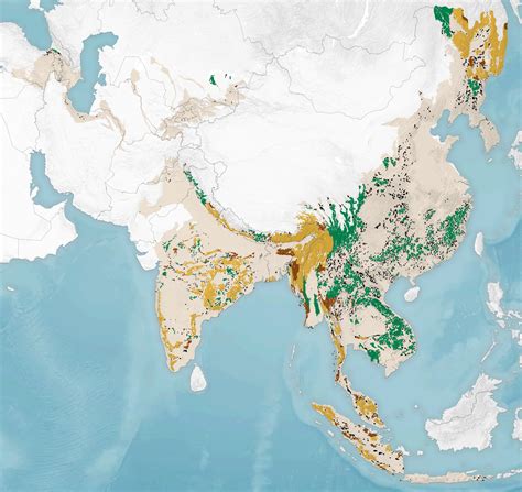 Finding Space for Tigers