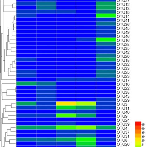 Heat Map Illustrating Otu Relative Abundance 1 Of Nxra Genes In Download Scientific