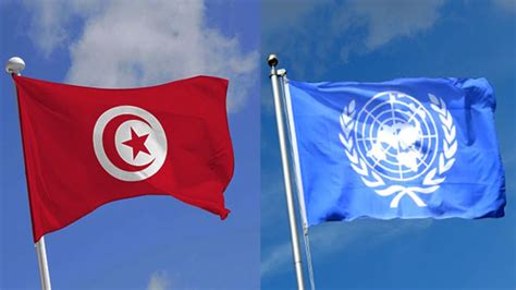 Renforcement De L Aide L Gale En Tunisie Projet Pnud Banque Mondiale