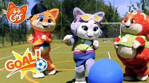 Cats Let S Play Football With The Buffycats Youtube