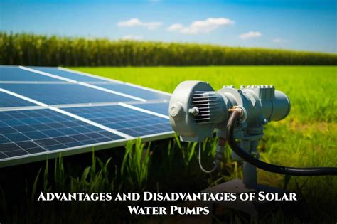 Key Advantages And Disadvantages Of Solar Water Pumps Unveiled