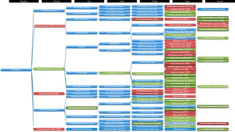 Phenylalanine Metabolism Pathway | Semantic Scholar