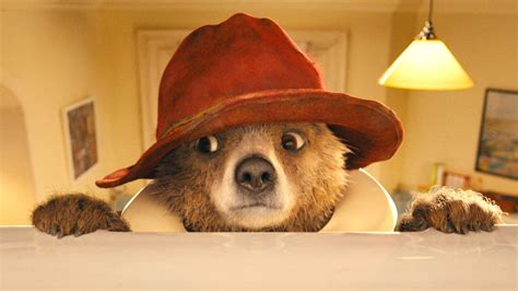 Paddington 3 Cast Rachel Zegler More Join Paddington In Peru