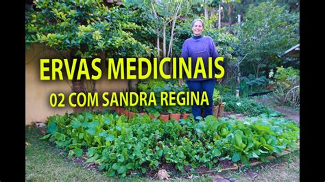 Jardim De Ervas Medicinais Sandra Regina Youtube