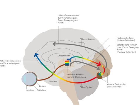 Psychologie Farbwahrnehmung