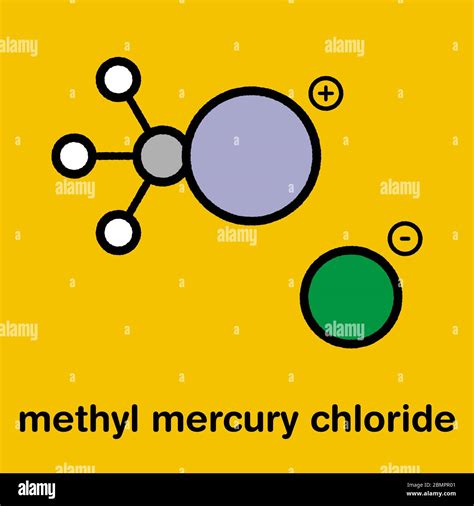 Methylmercury Cation Environmental Pollutant Chemical Structure Stock